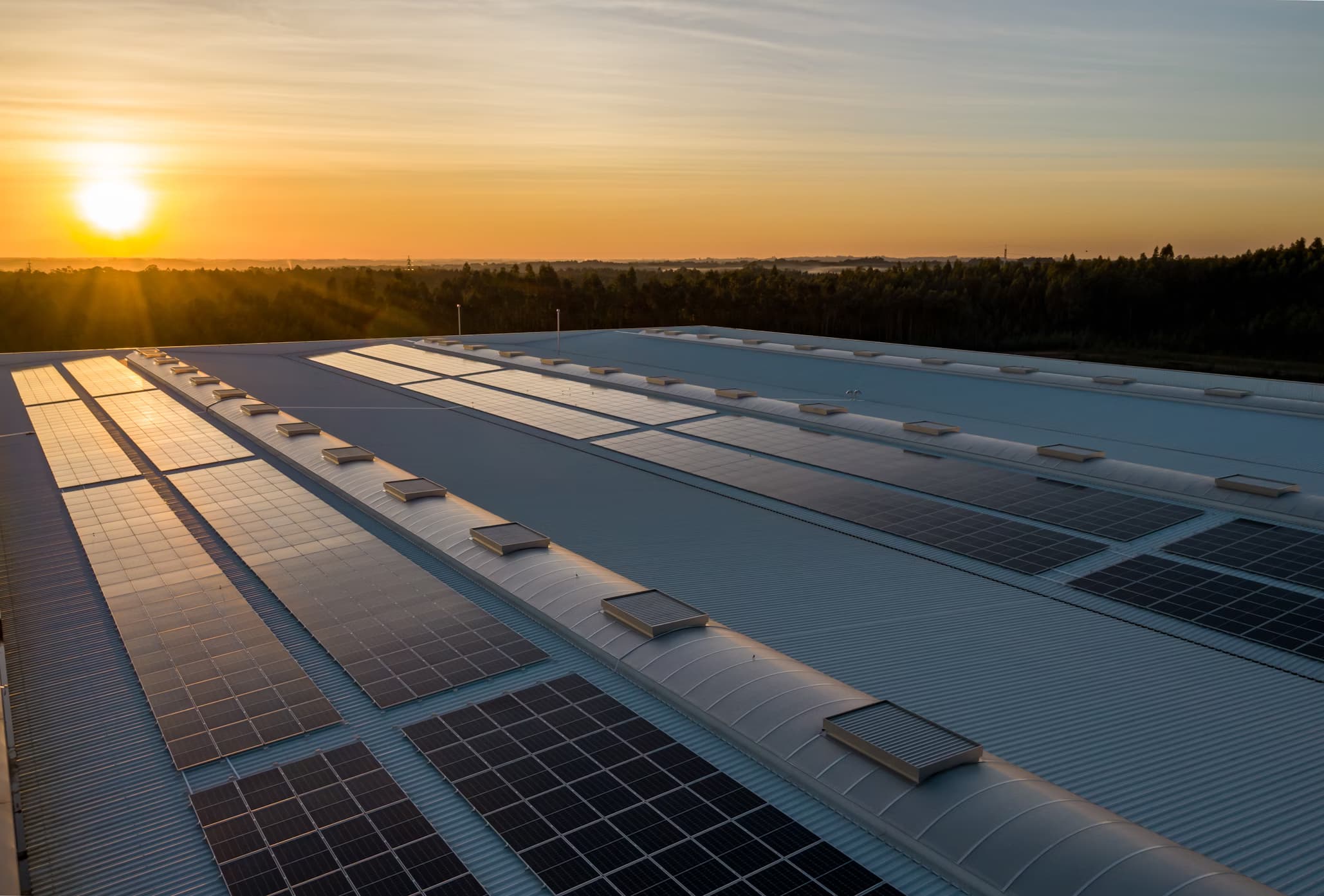 Energy Efficiency with Solar Panels: Maximizing Your Australian Home's Performance