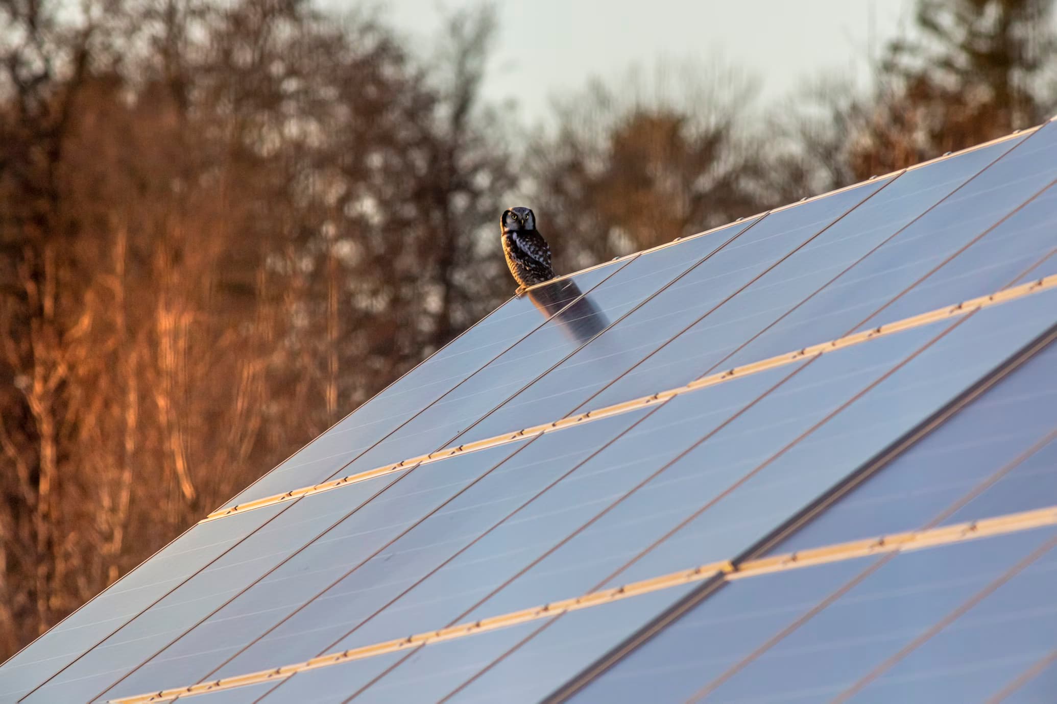 Solar panels