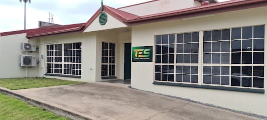 Tropical Energy Solutions