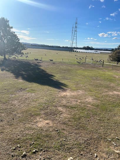 Winton Solar Farm